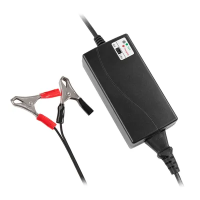 Immagine prodotto di Caricabatterie per batterie al gel VIPOW 6V/12V BAT1132