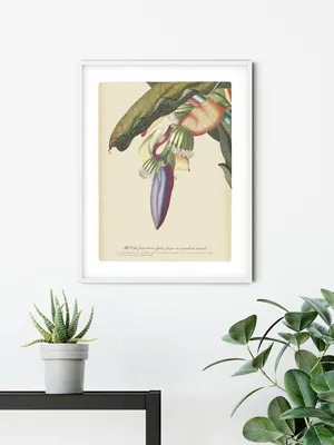 Produktbild von Wanddekoration Bananenherz Poster Kunstdruck 40 x 50 cm