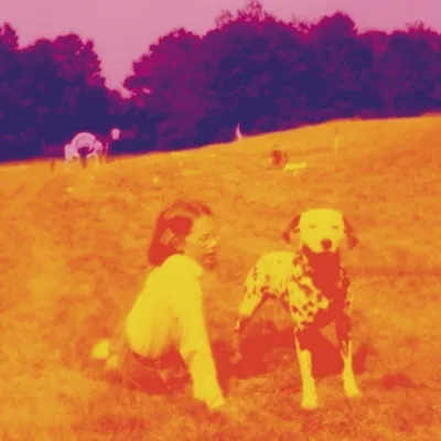 Produktbild von Eels-Blinking Lights And Other Revelations