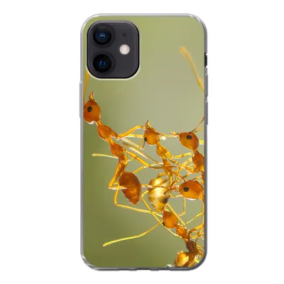 Produktbild von MuchoWow® Handyhülle Schutzhülle Hülle für iPhone 12 Ameisen - Orange - Tiere Silikon Softcase Handy Hülle - Schutzhülle