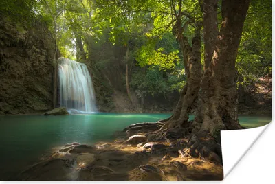 Produktbild von MuchoWow® Poster Ein tropischer Baum im Erawan-Nationalpark in Thailand 90x60 cm - Schlafzimmer
