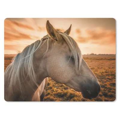 Produktbild von MuchoWow® Mauspad Mousepad Pferd - Tiere - Porträt 40x30 cm - Mousepads - Maus Mat - Pad - Mausunterlage - Anti Rutsch