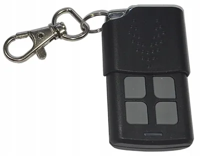 Imagen del producto de Control remoto para motores Delmar, de cuatro canales y frecuencia variable