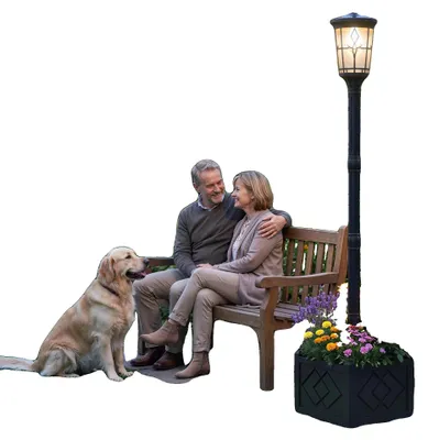 Productafbeelding van Buitenverlichting voor de tuin, op zonne-energie, met twee helderheidsstanden, waterdicht ontwerp, zwart