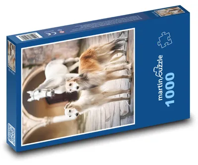 Produktbild von Puzzle 1000 Barsois im Hof - martinpuzzle