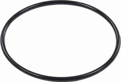 A black o-ring seal on a white background.