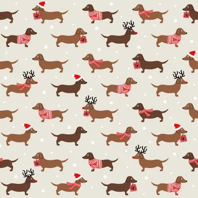 Produktbild von 20 Servietten Weihnachtsdackel - Dackel im Weihnachtsoutfit 33x33cm
