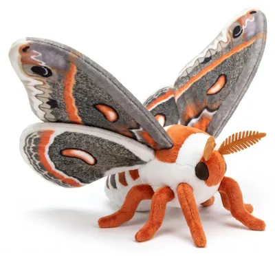 Produktbild von Cecropia Motte Plüschtier lebensecht Hyalophora Schmetterling Insekt Kuscheltier Stofftier Kinder Geschenk Heimdeko