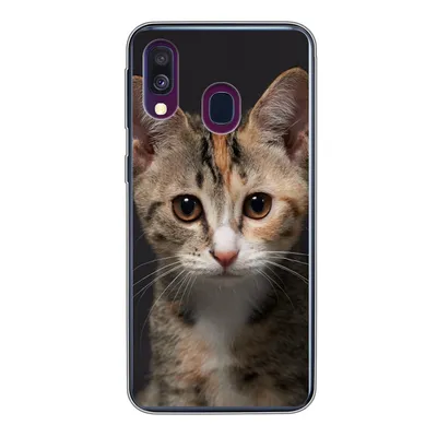 Produktbild von MuchoWow® Handyhülle Schutzhülle Hülle für Samsung Galaxy A40 Katze - Schwarz - Porträt Silikon Softcase Handy Hülle - Handy-Tasche