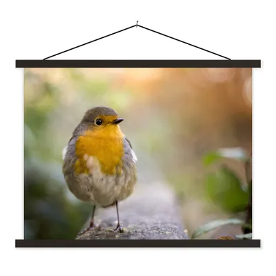 Produktbild von MuchoWow® Textilposter Vögel - Rotkehlchen - Baum 120x90 cm mit schwarzem Rahmen - Aufhänger für Poster