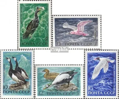 Produktbild von Briefmarken Sowjetunion 1972 Mi 3974-3978 (kompl.Ausgabe) gestempelt Meeresvögel