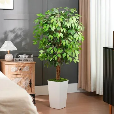 Obrázok produktu pre Umelé fikusy vysoké 150 cm s bielou kvetináčovou vázou, s kmeňmi z prírodného dreva, izbové rastliny do obývačky, spálne, kancelárie, záhrady, na dekoráciu interiéru