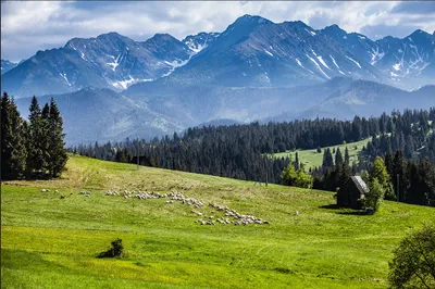 Produktbild von Muralo Fototapete Berglandschaft 135 (B) x 90 (H) cm Vlies Wand Tapete Gebirge Himmel Wiesen Bäume Grün Wohnzimmer Schlafzimmer moderne Wandbild Landschaft Natur Wand Dekoration