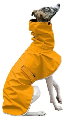 Produktbild von Surtep Animals Regenmantel für Hunde