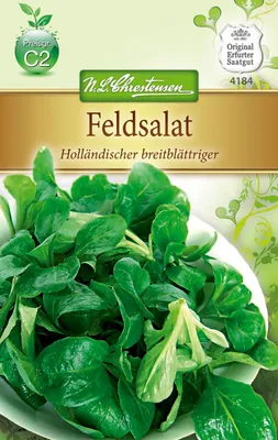 Produktbild von Feldsalat Holländischer Breitblättriger | Feldsalatsamen von N.L. Chrestensen