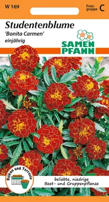 Produktbild von Studentenblume Bonita Carmen | Studentenblumensamen von Samen Pfann