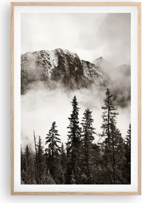 Produktbild von Gerahmtes Poster - Rahmen in heller Eiche - Nebel Berg Wald - 61x91,5 cm - Wand Bild - Wanddeko - Wandbilder - Kunstposter - Wandposter - Bilderrahmen - Bilder - Kunstdruck - P2NPA61x91-4936