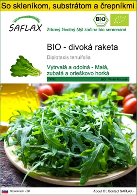 Obrázok produktu pre SAFLAX Kultivačný set - BIO - divoká raketa - Diplotaxis tenuifolia - 1500 Semená - S mini skleníkom, pestovateľským substrátom a 2 črepníkmi