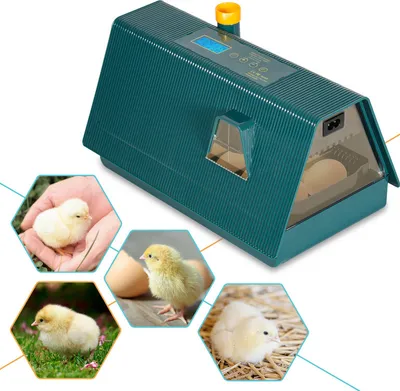 Produktbild von Peviasot Brutmaschine die Inkubator Brutschrank Brutapparat Brutkasten fur 10 Hühnereier