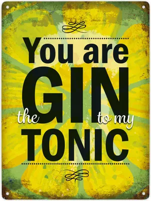 Produktbild von You are the Gin to my Tonic Metallschild XXL Schild Blechschild Emailleschild