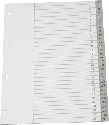 Produktbild von Register A4+ PP 1-31 grau Packung mit 10 Stück