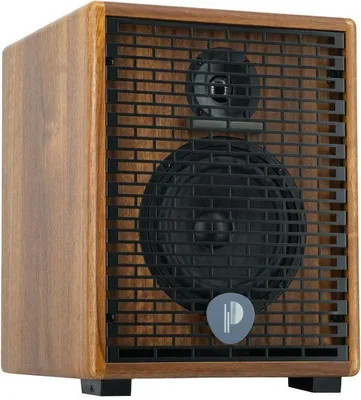 Zdjęcie produktu dla Prodipe Natural 6 V2