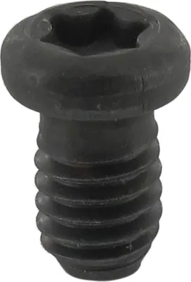 Produktbild von ENT Rundkopfschraube M4x6 mm zu Wepla Abrundfräser