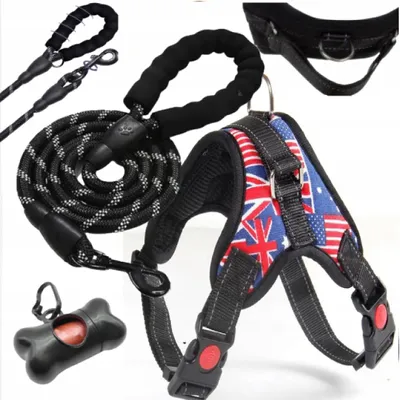 Obrázek produktu pro LGJ Group Postroj pro psy L a vodítko 150 cm reflexní