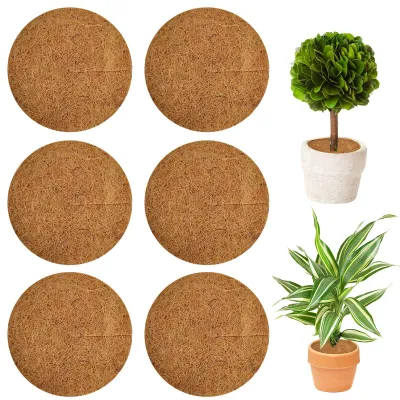 Image de Disque en fibre de coco, disque de paillage en fibre de coco (6 pièces), protection pour pots, protection pour plantes, protection hivernale, disque en fibre de coco pour plantes, tapis de protection pour plantes, protection pour pots, protection contre le gel pour l'hiver, tapis en fibre de coco (20 cm)