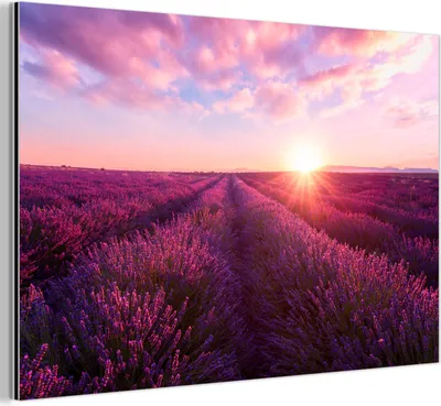 Produktbild von MuchoWow Wanddekoration Metall Metallbild Wandkunst 30x20 cm Lavendel - Blumen - Frankreich MuchoWow Aluminium Gemälde - Aluminiumgemälder