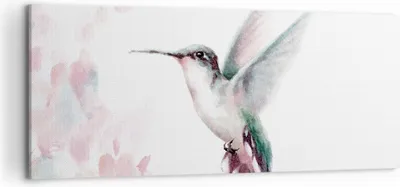 Produktbild von Bild auf Leinwand - Leinwandbild - Einteilig - Kolibri Aquarell Licht - 120x50cm - Wand Bild - Wanddeko - Wandbilder - Leinwanddruck - Bilder - Wanddekoration - Leinwand bilder - AB120x50-4518