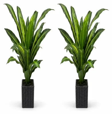 Obrázek produktu pro Sada 2 kusů – Umělá dracéna vonná (Dracaena fragrans), 95 cm – Žlutá – Realistická pokojová rostlina do interiéru, kanceláře a na terasu, nevyžaduje péči