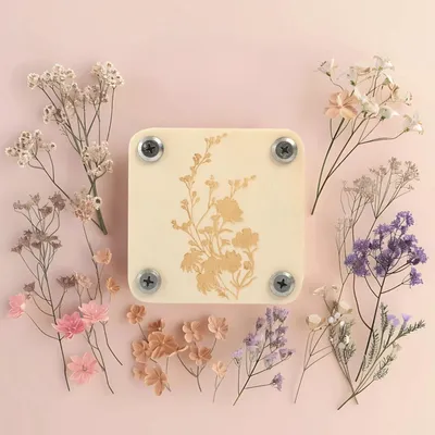 Image de Mon presse fleurs de poche