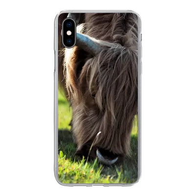 Produktbild von MuchoWow® Handyhülle Schutzhülle Hülle für iPhone Xs Schottischer Highlander - Hörner - Sonne Silikon Softcase Handy Hülle - Handytasche