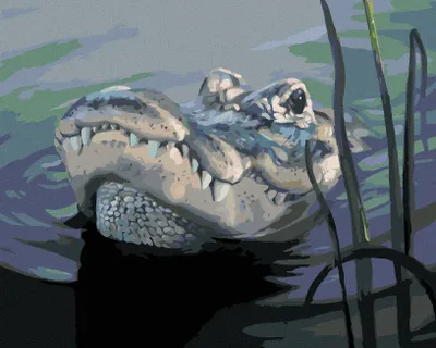 Image de Zuty - Peinture par numéros - TÊTE D'ALLIGATOR DANS L'EAU (D. RUSTY RUST), 40 x 50 cm, toile tendue sur châssis