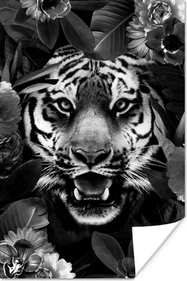 Produktbild von MuchoWow® Poster Tiger zwischen den Blumen - schwarz und weiß 40x60 cm - Plakate für die Wand - Poster Babyzimmer