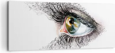 Produktbild von Bild auf Leinwand - Leinwandbild - Auge Menschliches Illustration Erwachsenen- - 120x50cm - Wand Bild - Wanddeko - Leinwanddruck - Bilder - Kunstdruck - Leinwand bilder - Wandkunst - AB120x50-3002