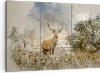 Produktbild von Bild auf Leinwand - Leinwandbild - rotwild natur - 105x70cm - Wand Bild - Wanddeko - Wandbilder - Leinwanddruck - Bilder - Kunstdruck - Wanddekoration - Leinwand bilder - Wandkunst - CE105x70-3465