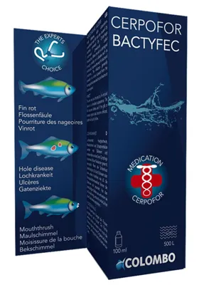 Productafbeelding van Colombo Bactyfec aquariumbehandeling 100 ml tegen vinrot, huidzweren en bekaandoeningen | Voor 500 liter