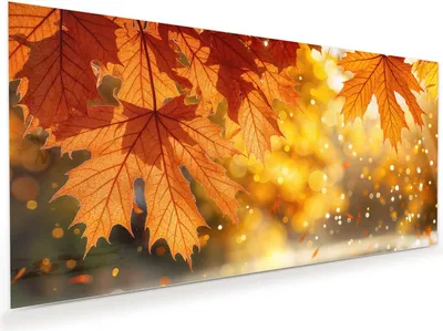 Produktbild von Glasbild 100x50cm in XXL für Wohnzimmer, Schlafzimmer Motiv Herbstblätter