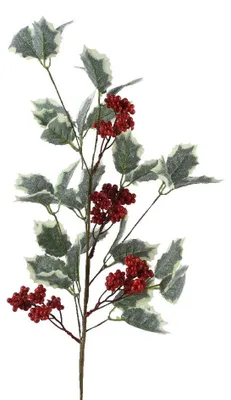Produktbild von Stechpalmenzweig grün/rot 68 cm für Weihnachtsdekoration