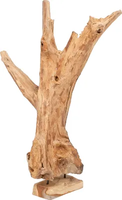 Produktbild von Teak Deko Objekt POTONGAN ca. H120-140cm Aquariumholz