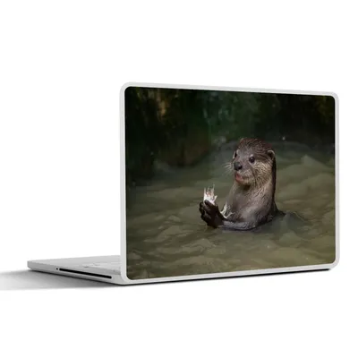Produktbild von MuchoWow® Laptop Aufkleber Sticker Cover Otter mit Futter im Wasser 30x22 cm - Laptop-Sticker