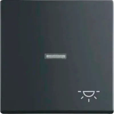 Produktbild von Busch-Jaeger 1751-0-3045, Tasten, Schwarz, Kunststoff, 63 mm, 63 mm, 1 Stück(e)