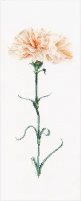 Produktbild von Thea Gouverneur Kreuzstich Stickpackung "Nelken pfirsichfarbig Aida", Zählmuster, 17x42cm
