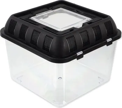 Produktbild von Zuchtbox Repti Planet 20,5x20,5x17cm