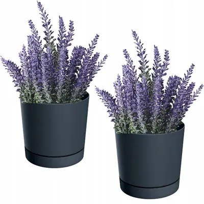 Produktbild von Prosperplast Topf Set 12,9 cm Anthrazit mit Untersetzer