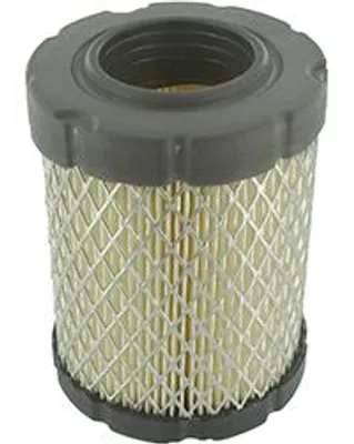 Image de Filtre à air adaptable Briggs & Stratton : série de moteurs 3105, 3115, 3130 de 10 à 12,5 CV. Compatible avec les modèles 215802, 215805 et 21580.