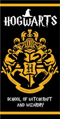 Obrázek produktu pro Koupací osuška Harry Potter 70 x 140 cm – Hogwarts Fast Dry