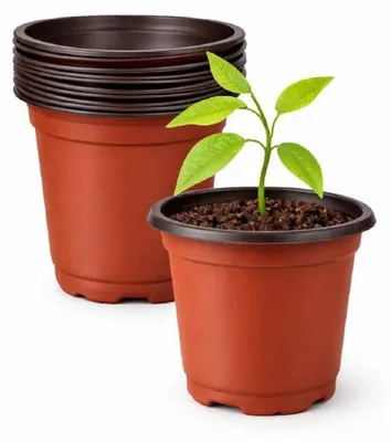 Zdjęcie produktu dla plastikowa sadzarka średnica 9 cm wysokość 6,8 cm opakowanie 10 szt.